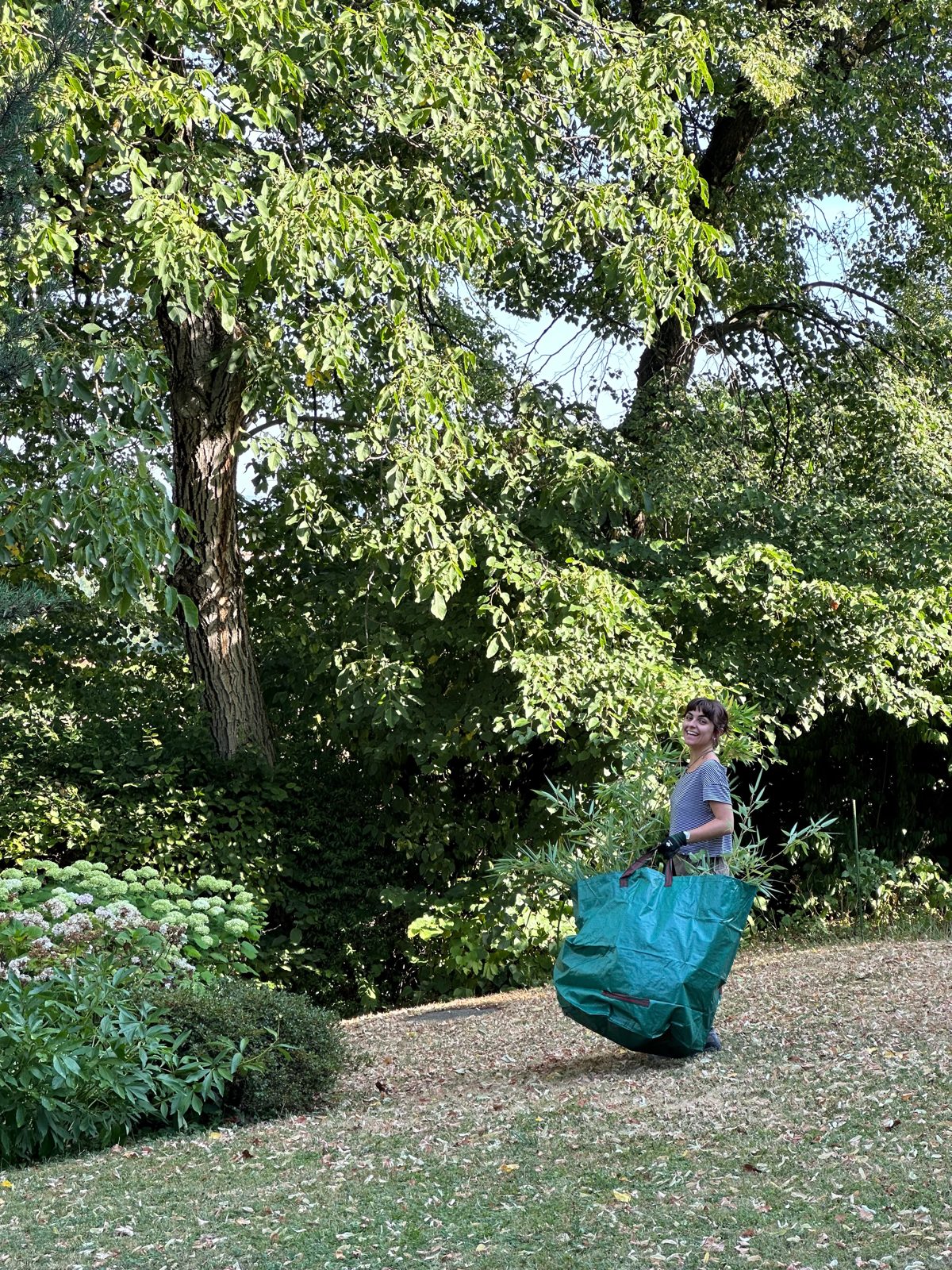 Studentin trägt Gartensack mit Grünschnitt