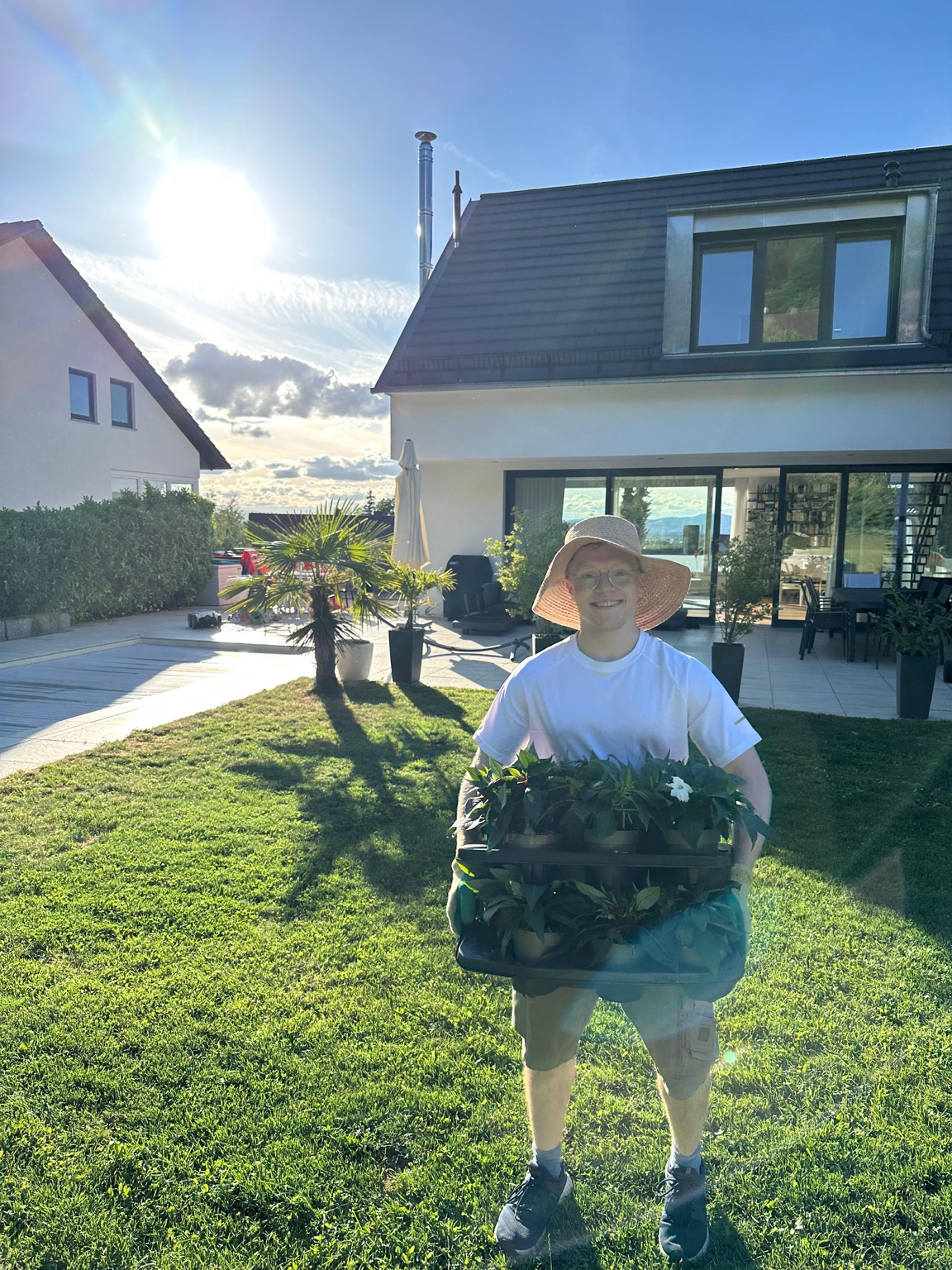 Bepflanzung eines Beets